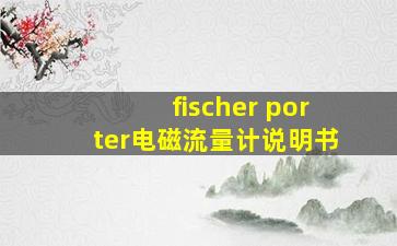 fischer porter电磁流量计说明书